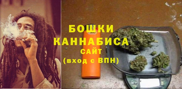 spice Аркадак